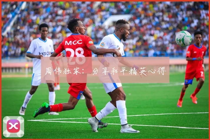 周伟独家：分享和平精英心得