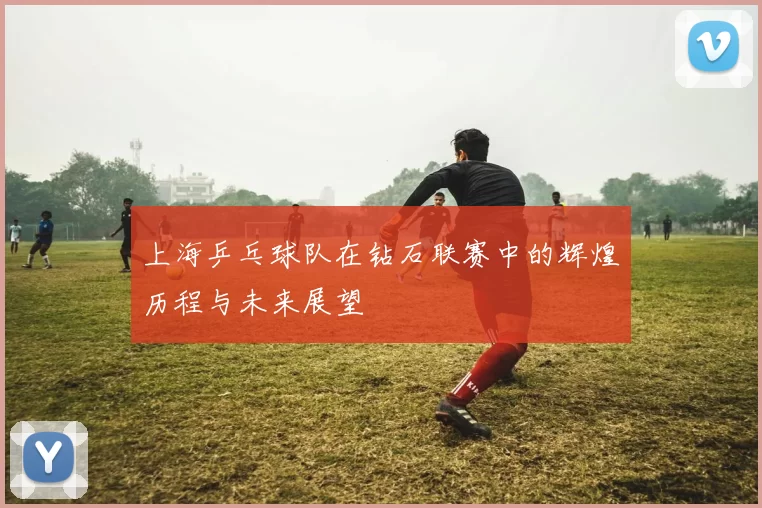 上海乒乓球队在钻石联赛中的辉煌历程与未来展望