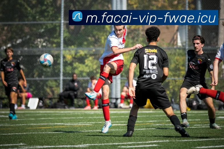 开云体育APP 封面图